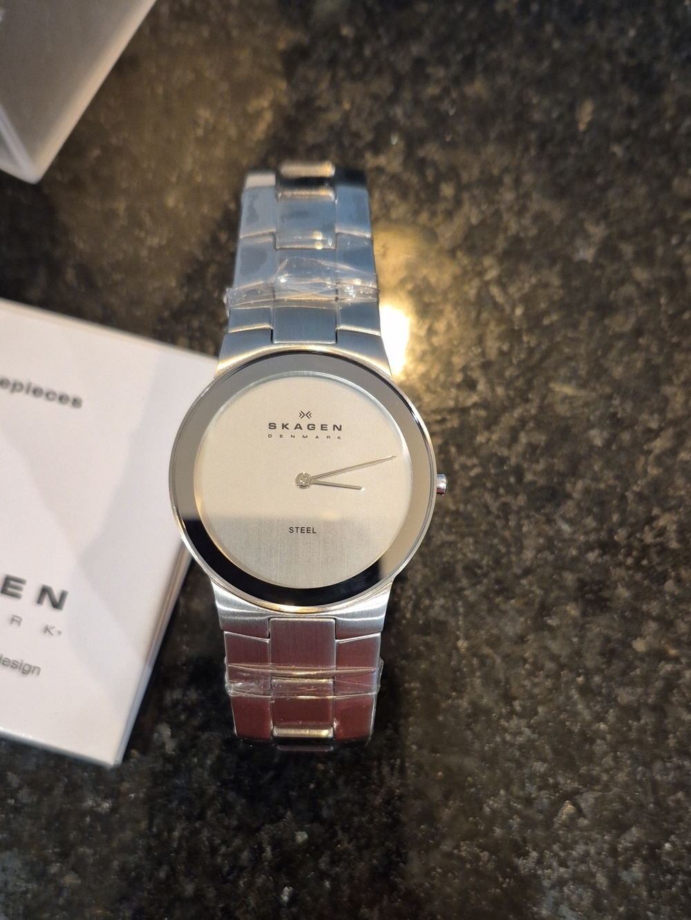 Skagen Men's Steel Bracelet Watch